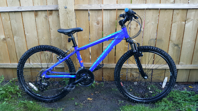 raleigh talus 24